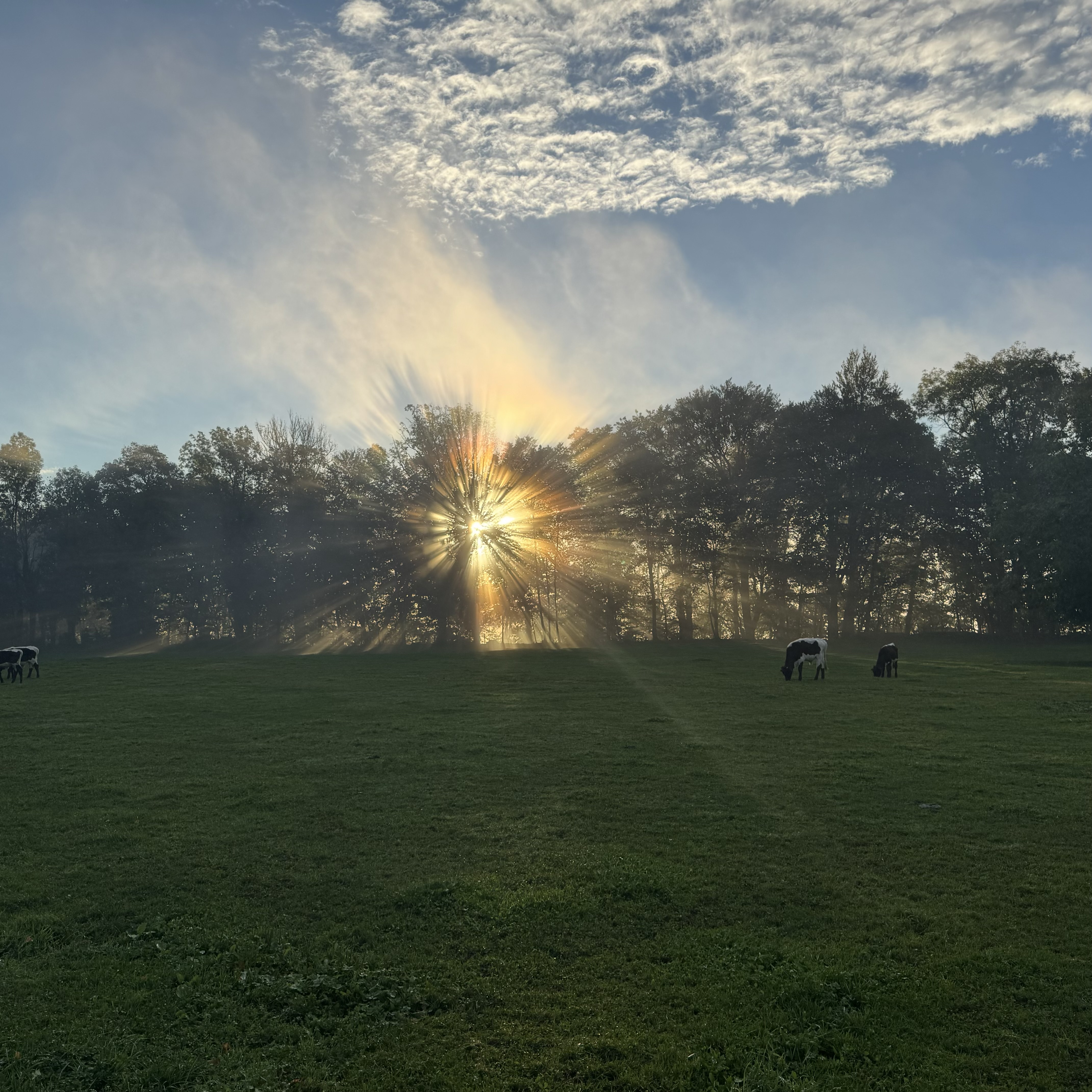 Sonnenaufgang in Baierbrunn