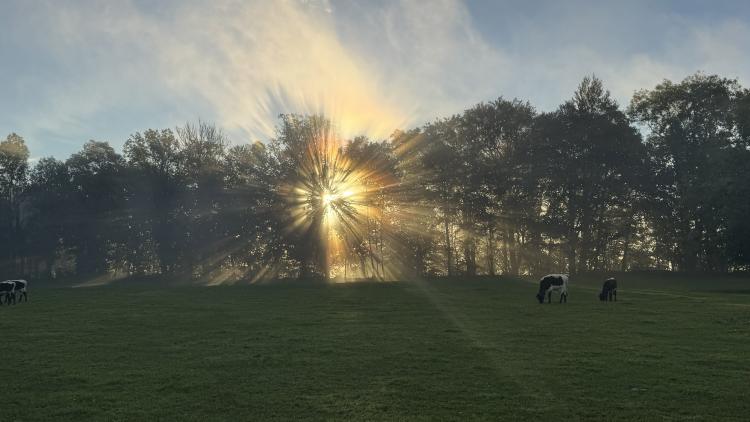 Sonnenaufgang in Baierbrunn